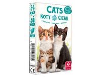 karty do gry koty 10035082