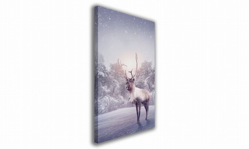 OBRAZ NA PŁÓTNIE 087 Renifer 40x60cm zdjęcie 1