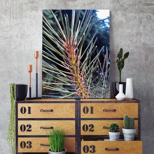 Deco Panel, Sosnowe igły 80x120 na Arena.pl