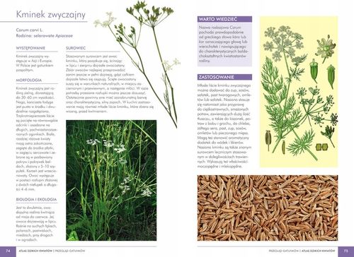 ATLAS DZIKICH KWIATÓW 90 roślin Mederska TWARDA na Arena.pl