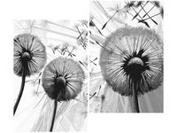 80CM 70CM 2 ELEME OBRAZ RAMA DMUCHAWCE SZAROŚCIACH DRUK ŚCIENNY PŁÓTNO