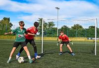 bramka flex 300cm x 200cm r.