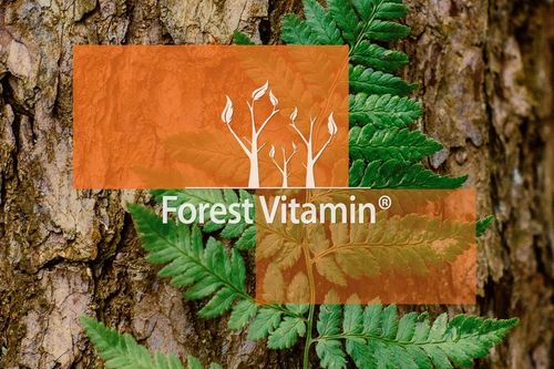 FOREST ASHWAGANDHA EKSTRAKT 700mg 9% NAJMOCNIEJSZA na Arena.pl