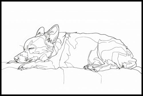 Plakat 91,5x61cm Śpiący Psiak na Arena.pl