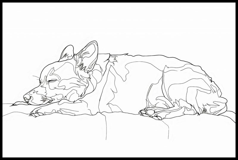 Plakat 91,5x61cm Śpiący Psiak zdjęcie 2