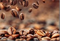 product-compare-58711619