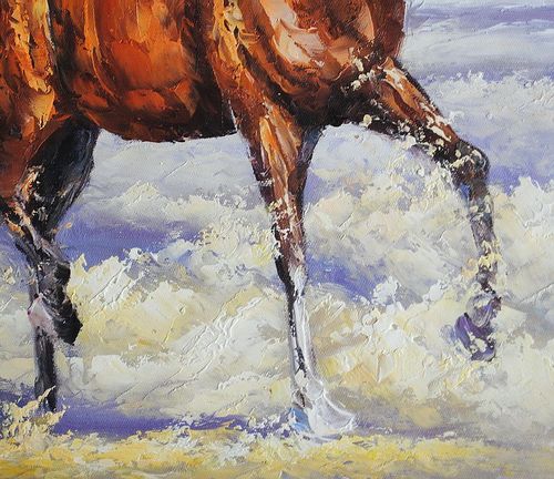 Koń (50x60cm) na Arena.pl