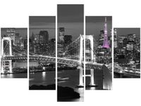 105CM 150CM OBRAZ 5 ELEM NOCNY WIDOK DRUK