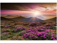 60X40CM PIĘKNY KRAJOBRAZ OBRAZ