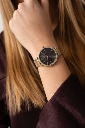 zegarek damski paul lorens pl12894b-1d1 + box na Arena.pl