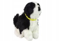 Interaktywny Pies Border Collie Pluszowy Szczeka