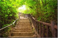 product-compare-58710183