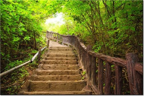 100 70CM OBRAZ PŁÓTNO SCHODAMI GÓRĘ PŁÓTNO RAMA na Arena.pl