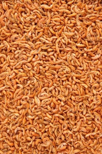 GAMMARUS KIEŁŻ SUSZONY 100G POKARM DLA ŻÓŁWIA na Arena.pl