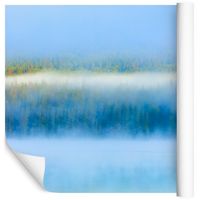 Fototapeta 3D Mglisty Las Natura do Salonu 135x90