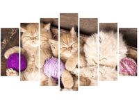 80CM 140CM OBRAZ 7 ELEM ŚPIĄCE KOTY MISCE ŚCIENNY