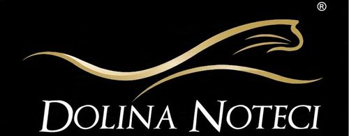 MOKRA KARMA DLA PSA 24 x 400g. RAFI + TUF TUF MIX SMAKÓW 9,6 kg W PUSZCE na Arena.pl