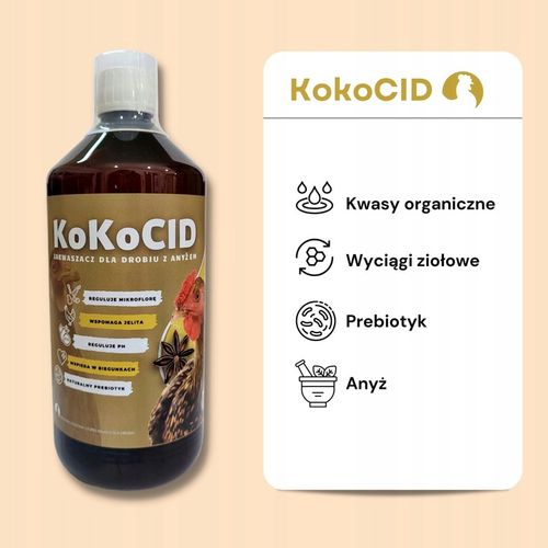 KokoCID 1 kg+GRATIS zakwaszacz dla drobiu muszle na Arena.pl
