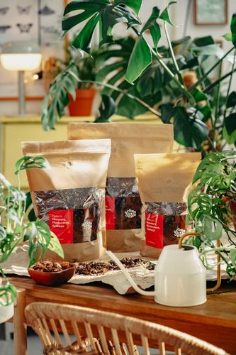 Ziemia do MONSTER, FILODENDRONA, ALOKAZJI, ANTHURIUM EPI 3L bigos, na Arena.pl