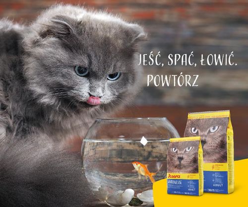 josera marinesse 10kg na Arena.pl