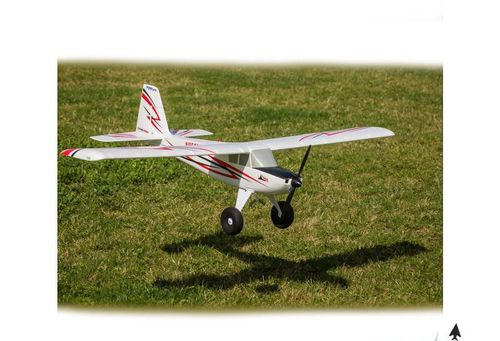 Timber BNF Basic na Arena.pl