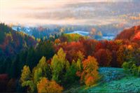 Fototapeta Las we Mgle JESIEŃ Pejzaż do Salonu 360x240