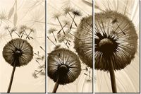 product-compare-58677469