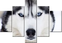 product-compare-58676356