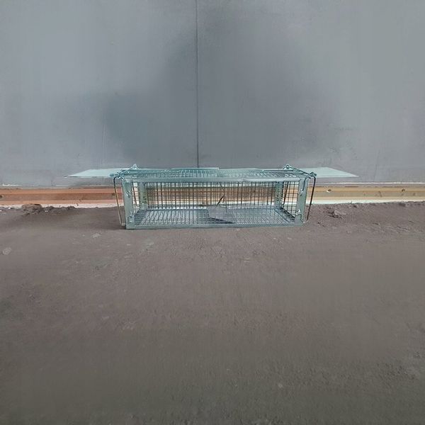 Żywołapka Pułapka na Szczury Kuny Łaski Norki Chwytacz Myszołapka XL Repest zdjęcie 9