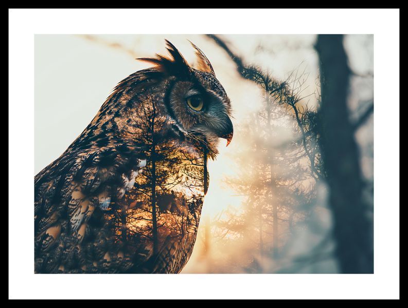 Plakat 42x29,7cm Sowi Duch zdjęcie 3