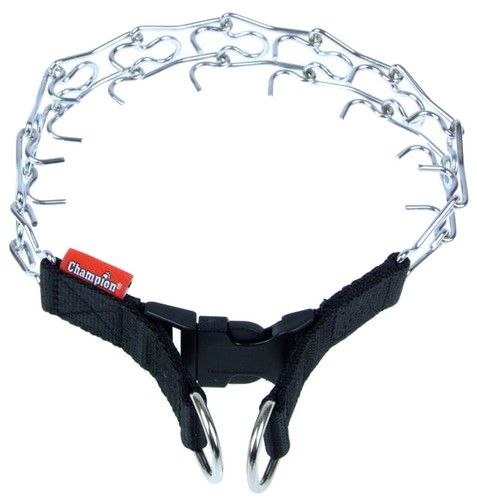 Champion Kolczatka [3T] zdjęcie 2