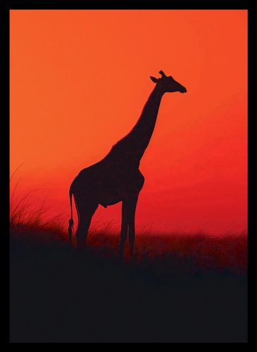 Plakat 25x35cm Żyrafa w Czerni na Arena.pl