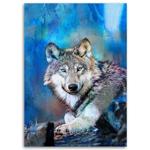 Deco Panel, Wilk 50x70 na Arena.pl