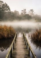 product-compare-59357186