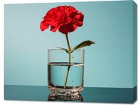 Obraz 90x70cm Kwiat w Szkle