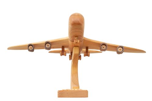 Duży model samolotu "Airbus" na Arena.pl