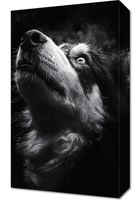 Obraz 30x50cm Portret Zwierząt do Salonu Pokoju | Husky 2 | Czarno Białe