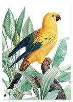 Plakat cyfrowy do wydruku złota papuga