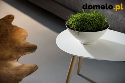 DONICZKA PLANET 260 A1 na Arena.pl