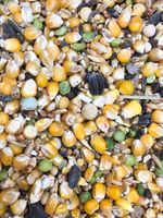 Karma dla gołębi STANDARD S Kampol 25kg