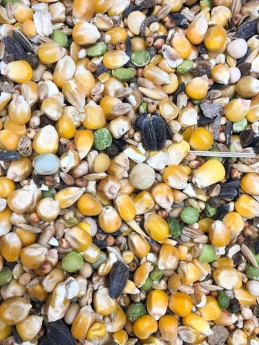 Karma dla gołębi STANDARD S Kampol 25kg na Arena.pl