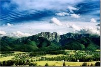 product-compare-58693525