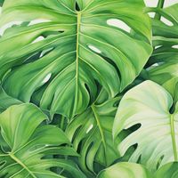 Plakat 30x30cm Tajemnice Liści