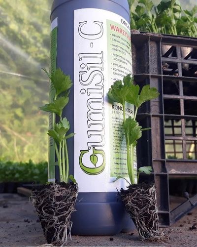 STYMULATOR DO WARZYW GUMISIL TRICHODERMA ROZSADY! EKO NAWÓZ BIOLOGICZNY TOP na Arena.pl