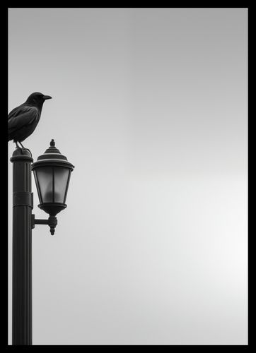 Plakat 64x90cm Samotny Postój Kruka na Arena.pl