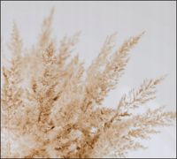 Tło do fotografii produktowej kulinarnej Flat Lay