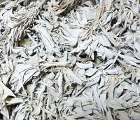 Biała Szałwia liście 100g GAT I