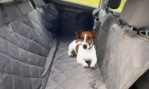 MATA dla psa do samochodu POKROWIEC + SMYCZ na Arena.pl