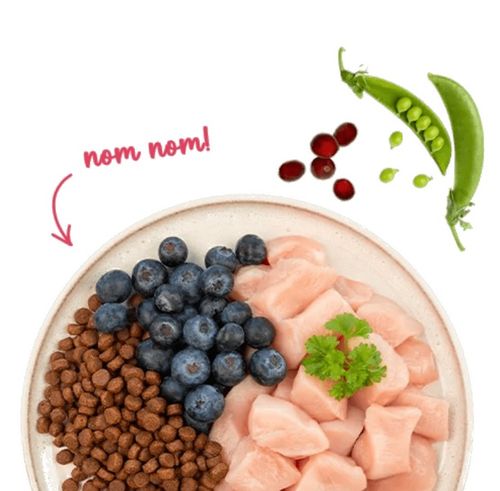 Sanabelle Adult Huhn Z Kurczakiem 2Kg na Arena.pl