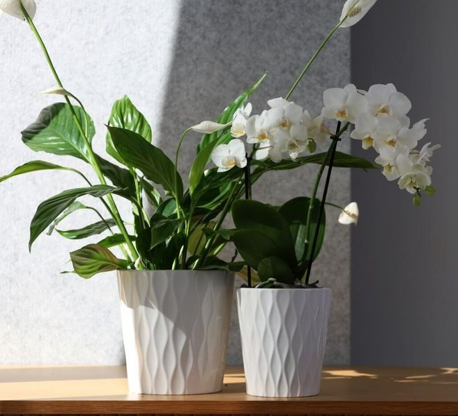 DONICZKA OSŁONKA CERAMICZNA BIAŁA 16 CM zdjęcie 3